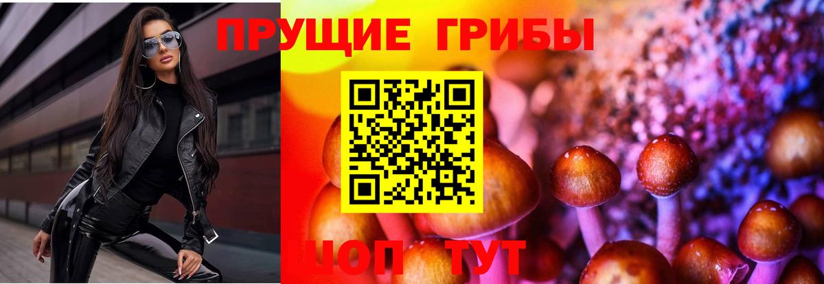 Обнинск  Галлюциногенные грибы мицелий  Вход с VPN 